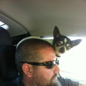 Scott Morgan's photo
