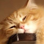 Zenn Ling's photo