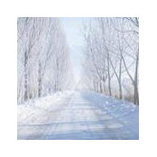 Suzanne Estep's photo
