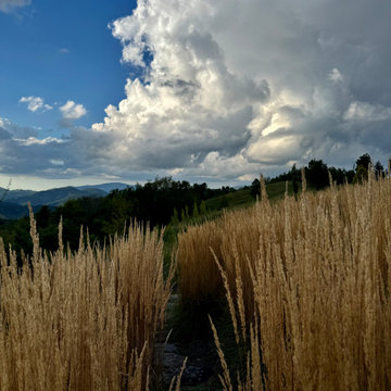 Mountain Top Magic