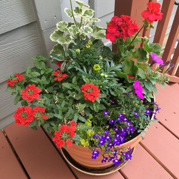 AFTER- FLOWERS FOR THE GRAD PARTY