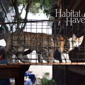 Animal Shelter Assistance Program (ASAP)
