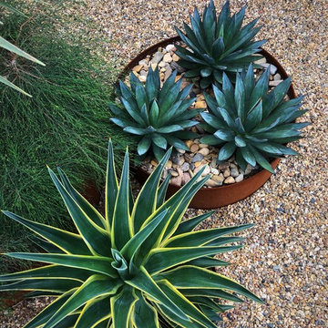 Low Maintenance Front Yard Makeover