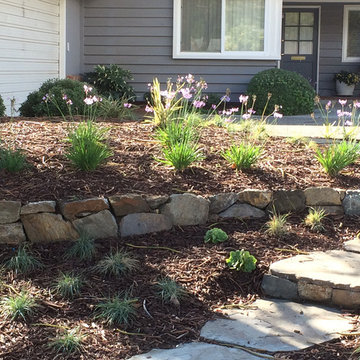 Curb Appeal Boost and Fire Pit Replace Lawns