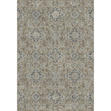 Dynamic Rugs Regal 89665-2959 Rug 2'2"x7'7" Taupe/Gray Rug