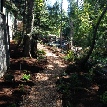 Renaturalisation of a backyard