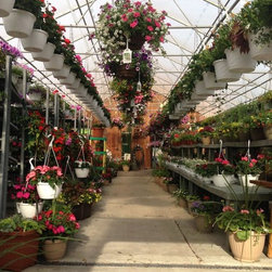 Gallery - Gardening And Lawn Care