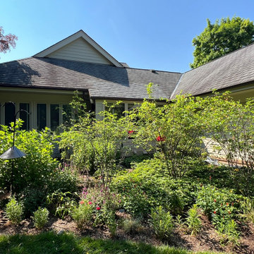 Native Plant Transformation of a HOA restricted landscape