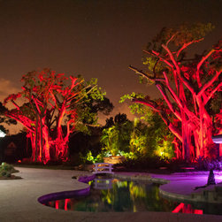 Florida Farmhouse - Lighting