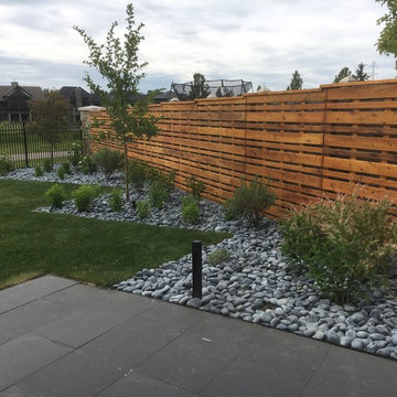 Asymmetrical Backyard