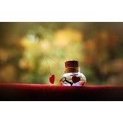 Reham Saad's photo