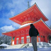 Terence Low's photo