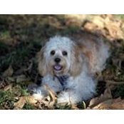 Stephanie Friedlander's photo
