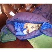 Suzy Mattingly's photo
