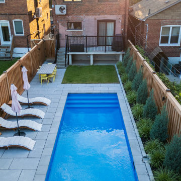 Narrow-Lot Backyard Pool with Paver Deck, Cedar Privacy Fence & Layered Planting