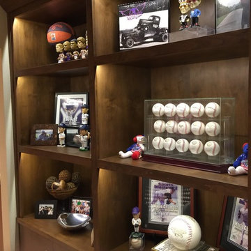 Scottsdale Sports Theme