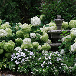 Stunning Plant Material - Products