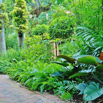 Tropical Landscape Design