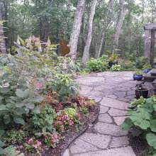 Landscape Ideas