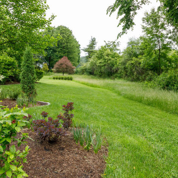 Mature Garden