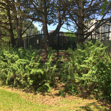 Chain Link Fence