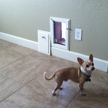 Pet Doors