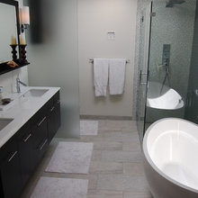 Remodel - Master BR with Bath