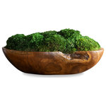Uttermost - Kinsale Moss Centerpiece - Beautifully preserved mounds of moss placed in a natural teak wood bowl. Because each is individually handcrafted, sizes may vary. Cracks and variations in the grain are natural to this type of wood.