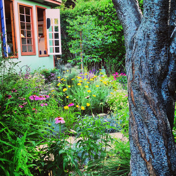 Low Water Cottage Garden