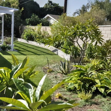 Coastal Tropical