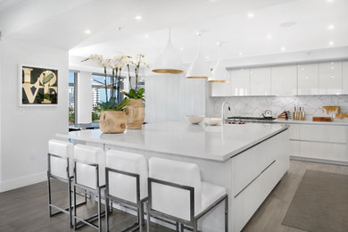 Kitchen - large contemporary kitchen idea in Miami
