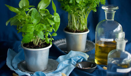 Healthy Home: 8 Fresh Ways to Plant Herbs