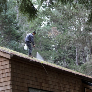 Pressure Washing