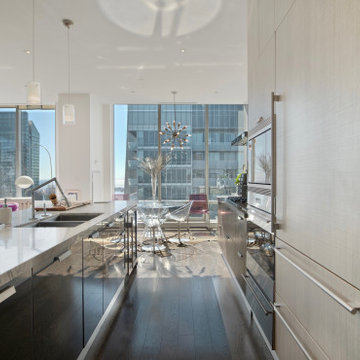 295 Adelaide St West Penthouse