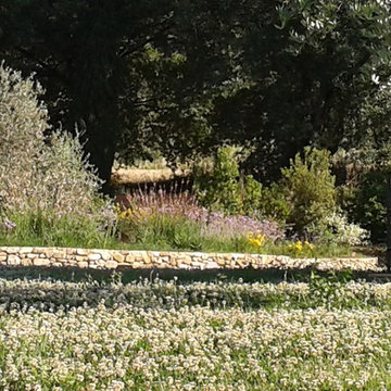 casale s.Quirico