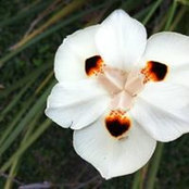 Jill Usie's photo