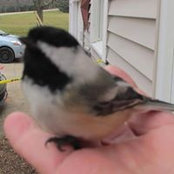 Kathy Mcmichael's photo
