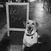 Misty Kline's photo