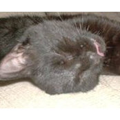 Tor Stimpson's photo
