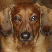 Lisa Bensinger's photo