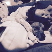 Renee Allan's photo
