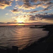 Vialissa Gerhard's photo
