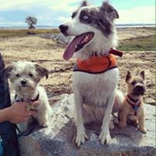 Caitlin Nield's photo