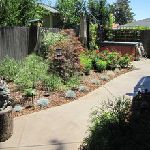 Landscape Ideas