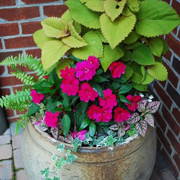 Seasonal Containers