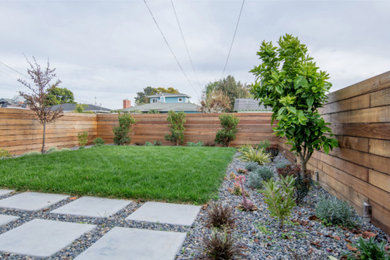 Backyard Fence