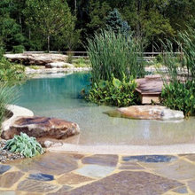 Natural swimming pools