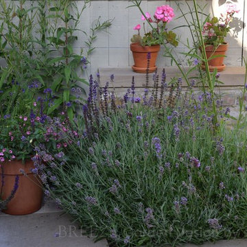 Courtyard in Ealing