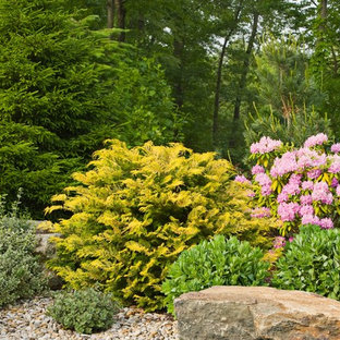 Juniper Landscape | Houzz