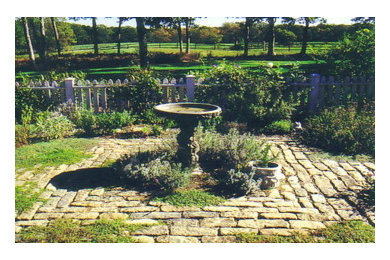 Vineyard Herb Garden